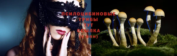 гидропоника Армянск