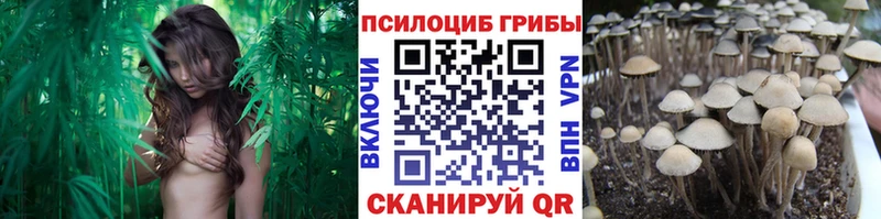 Псилоцибиновые грибы ЛСД  darknet состав  Губкин  закладки 